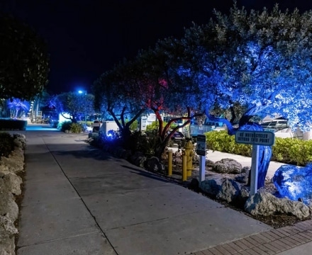 16-DSC04992-DeNoiseAI-denoise
