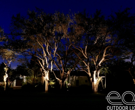 Old Cutler  3