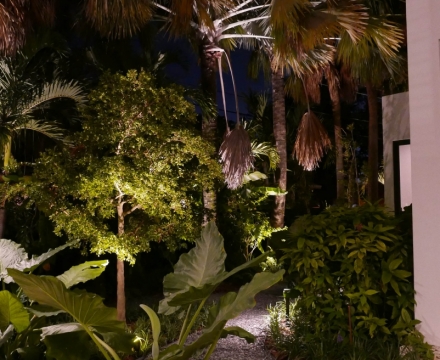 South-Miami6