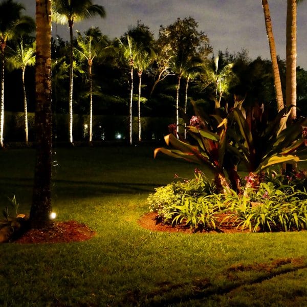 Price for Landscape Lighting in Miami - EOS Outdoor Lighting